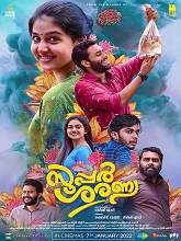 Super Sharanya (2022) HDRip Malayalam Full Movie Watch Online Free